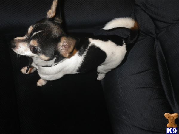 corbinbobber Picture 3